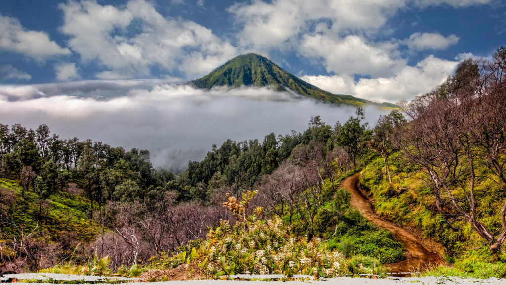 landscape gungung rantee from kawah ijen